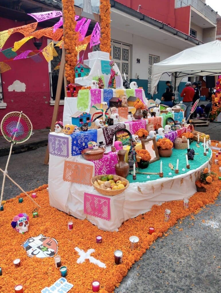 photo 2026 01 07 18 06 33 2